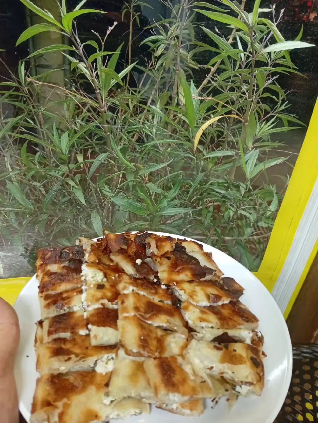 Antalya Serpme Börek Aile Tost Evi